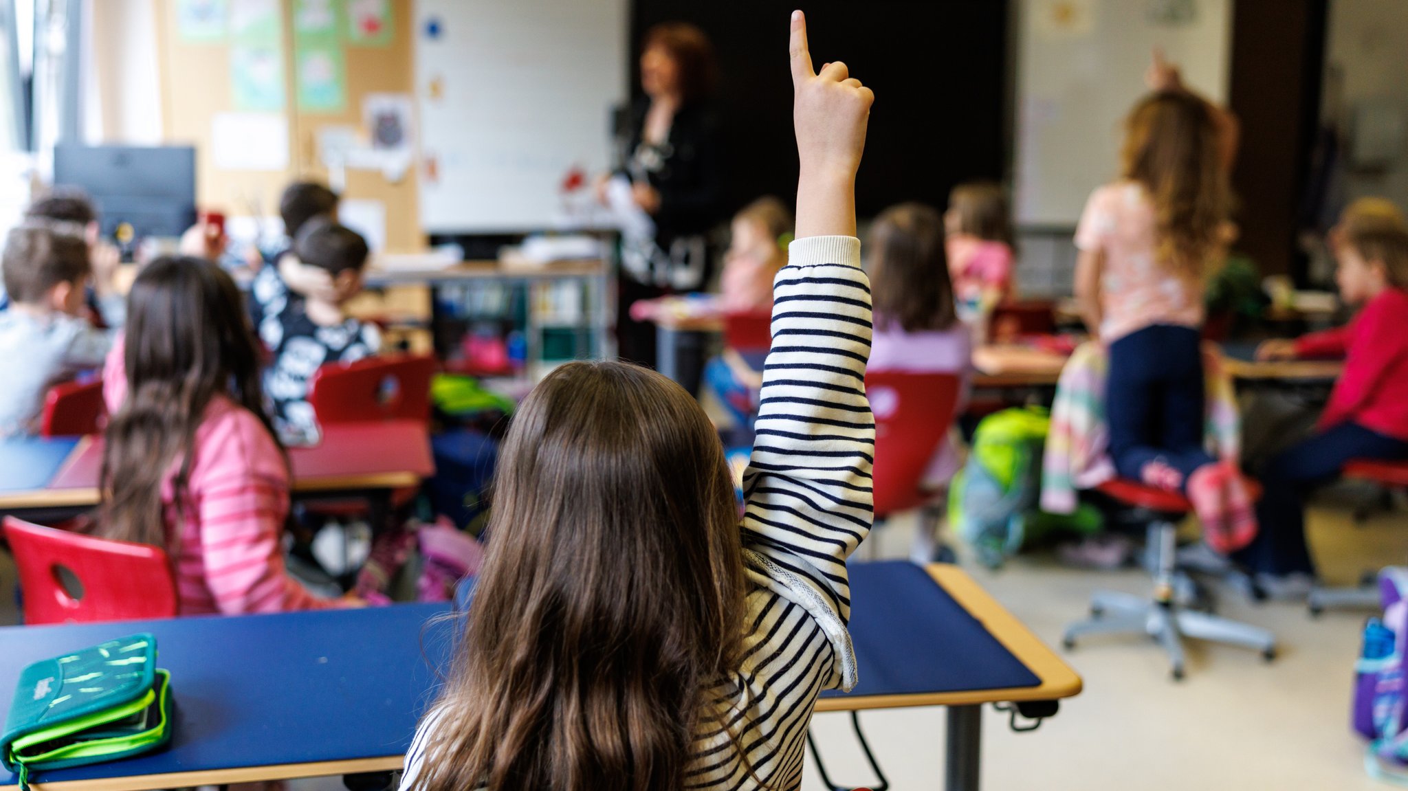Grundschüler sitzen in einer Klasse an Schultischen, ein Mädchen im Vordergrund des Fotos, meldet sich. | Bild: Picture Alliance Grundschüler sitzen in einer Klasse an Schultischen, ein Mädchen im Vordergrund des Fotos, meldet sich.