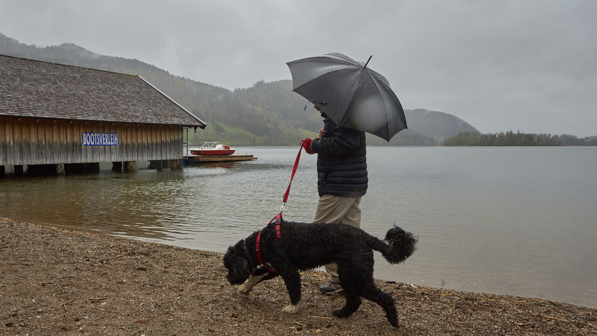 Mann mit Regenschirm geht mit seinem Hund an einem Seeufer spazieren | Bild: picture alliance / Martin Ley | Martin Ley Mann mit Regenschirm geht mit seinem Hund an einem Seeufer spazieren